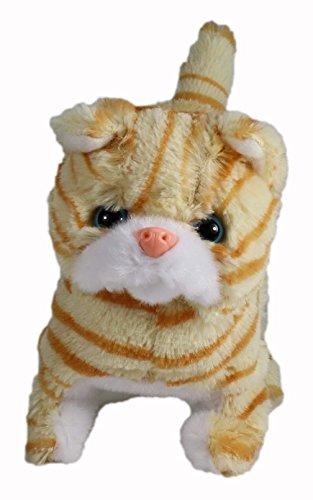 Westminster Casanova The Mechanical Kitten - Orange Striped - sctoyswholesale