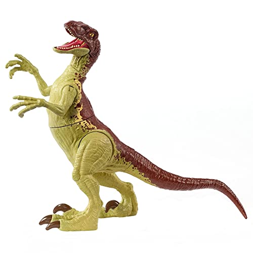 Jurassic World Toys Fierce Force Velociraptor Camp Cretaceous Dinosaur Action Figure Movable Joints,  & Single Strike Feature, Mixed Color - sctoyswholesale