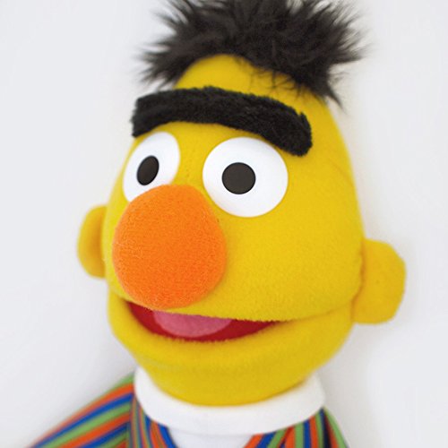 Enesco Sesame Street 14" Bert Gund Plush - sctoyswholesale