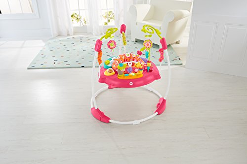 Fisher-Price Jumperoo Baby Bouncer and Activity Center with Spinning Seat plus Lights Music Sounds and Baby Toys, Pink Petals