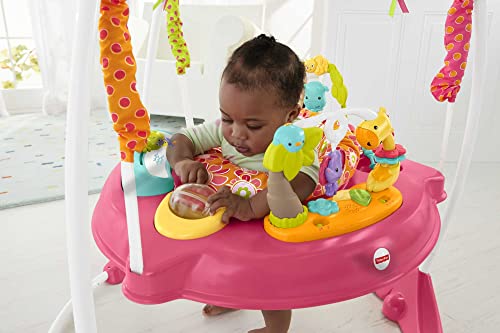 Fisher-Price Jumperoo Baby Bouncer and Activity Center with Spinning Seat plus Lights Music Sounds and Baby Toys, Pink Petals