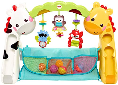 Fisher-Price Newborn-To-Toddler Play Gym With Music and Lights [Amazon Exclusive]