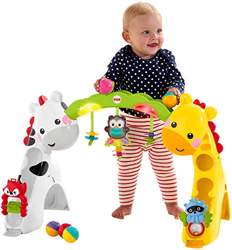 Fisher-Price Newborn-To-Toddler Play Gym With Music and Lights [Amazon Exclusive]