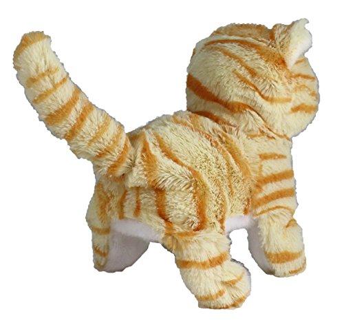 Westminster Casanova The Mechanical Kitten - Orange Striped - sctoyswholesale