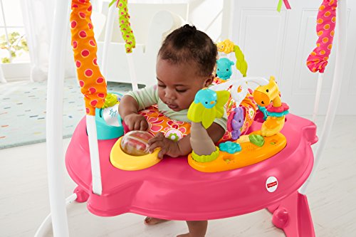 Fisher-Price Jumperoo Baby Bouncer and Activity Center with Spinning Seat plus Lights Music Sounds and Baby Toys, Pink Petals