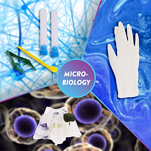 POPULAR SCIENCE Microbiology Lab Science Kit | STEM Toys and Gifts for Educational and Fun Experiments | Home Learning Fab Set for Children Ages 8+