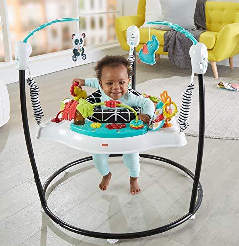 Fisher-Price Animal Wonders Jumperoo - sctoyswholesale