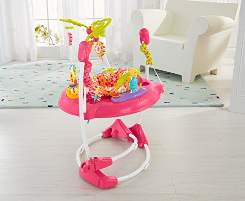 Fisher-Price Jumperoo Baby Bouncer and Activity Center with Spinning Seat plus Lights Music Sounds and Baby Toys, Pink Petals