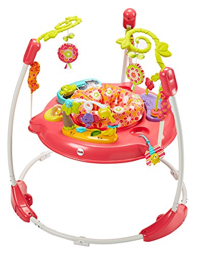 Fisher-Price Jumperoo Baby Bouncer and Activity Center with Spinning Seat plus Lights Music Sounds and Baby Toys, Pink Petals