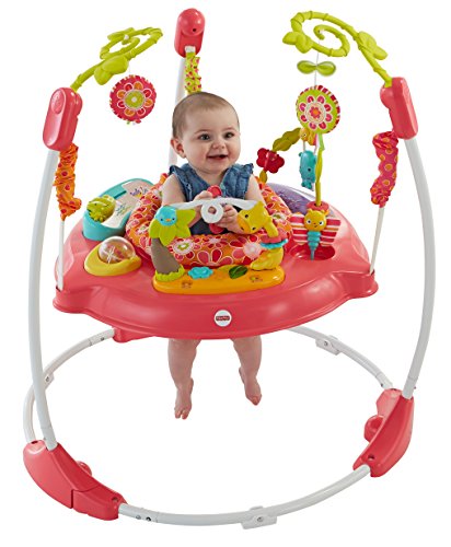 Fisher-Price Jumperoo Baby Bouncer and Activity Center with Spinning Seat plus Lights Music Sounds and Baby Toys, Pink Petals