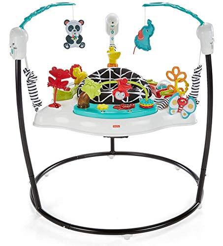 Fisher-Price Animal Wonders Jumperoo - sctoyswholesale