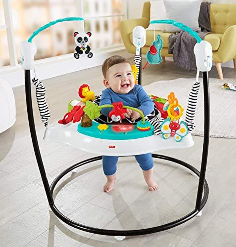 Fisher-Price Animal Wonders Jumperoo - sctoyswholesale