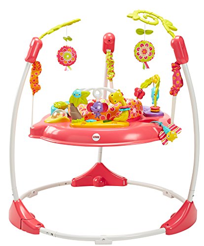 Fisher-Price Jumperoo Baby Bouncer and Activity Center with Spinning Seat plus Lights Music Sounds and Baby Toys, Pink Petals