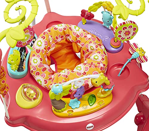 Fisher-Price Jumperoo Baby Bouncer and Activity Center with Spinning Seat plus Lights Music Sounds and Baby Toys, Pink Petals