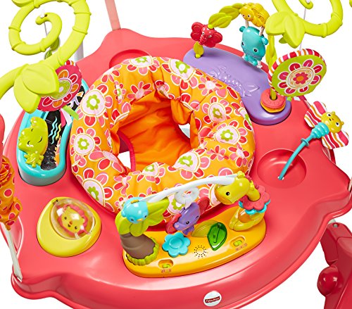 Fisher-Price Jumperoo Baby Bouncer and Activity Center with Spinning Seat plus Lights Music Sounds and Baby Toys, Pink Petals