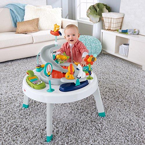 Fisher-Price 2-in-1 Sit-to-Stand Activity Center, Assorted - sctoyswholesale