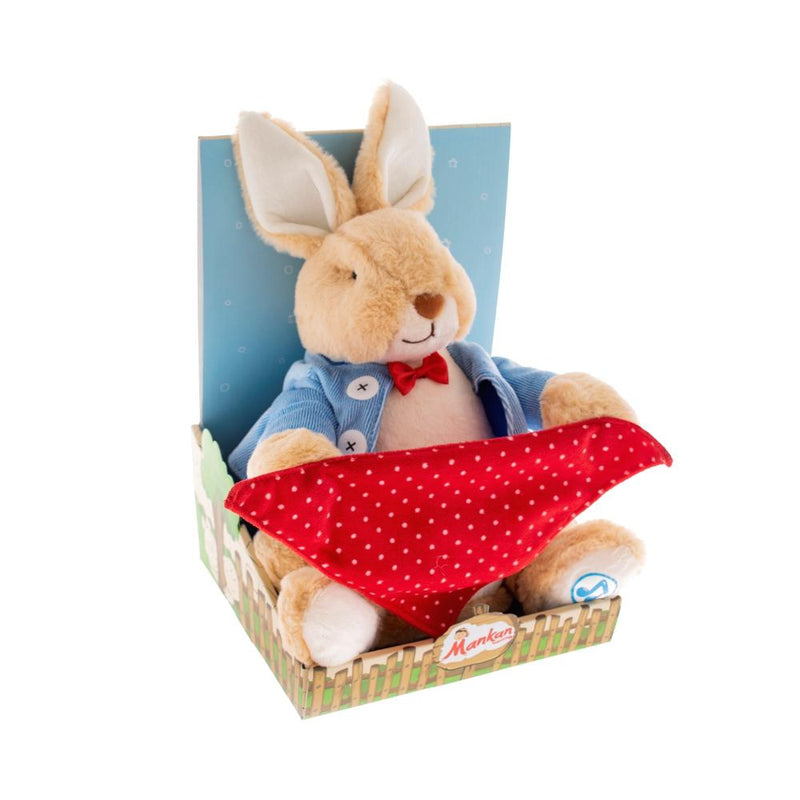 Interactive Rabbit - sctoyswholesale