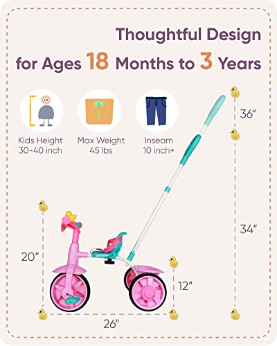 KRIDDO 2 in 1 Kids Tricycles Age 18 Month to 3 Years, EVA Wheels Upgraded, Gift, Trikes for Toddlers 2 to 3 Year Old with Push Handle and Duck Bell, Pink