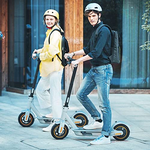 Segway Ninebot MAX G30LP Electric Kick Scooter, Up to 25 Miles Long-range Battery, Max Speed 18.6 MPH, Lightweight and Foldable, Gray - sctoyswholesale