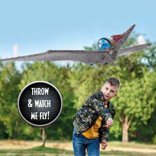 Jurassic World Toys Power Flight Dino - Pteranodon |Flying Dinosaur Toy for Kids | Official Camp Cretaceous, Fallen Kingdom and Dominion Merchandise and Gifts for Boys and Girls
