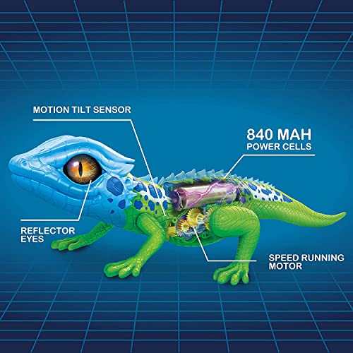 Robo Alive Lurking Lizard Series 2 Blue Green by ZURU Battery-Powered Robotic Interactive Electronic Reptile Toy That Moves (Blue Orange)