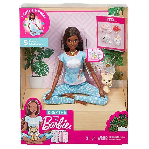 Barbie MDTN DL (DVRS) - sctoyswholesale