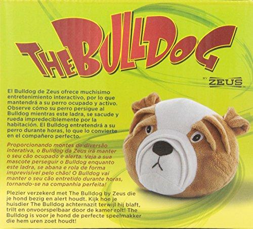 The Bulldog by ZEUS, Interactive Dog Toy for Large & Small Dogs - sctoyswholesale